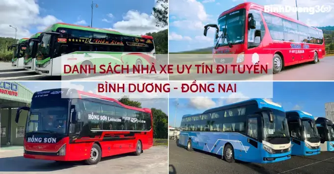 Tổng Hợp Các Tuyến Xe Từ Đồng Nai Đi Bình Dương: Nhà Xe, Giá Vé Và Cách Đặt Vé Tổng Hợp Các Tuyến Xe Từ Đồng Nai Đi Bình Dương: Nhà Xe, Giá Vé Và Cách Đặt Vé