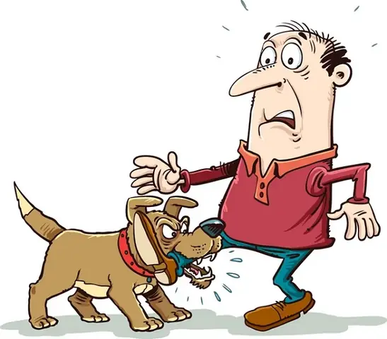 Giải Mã Ý Nghĩa Và Điềm Báo Giấc Mơ Xem Bói Cùng Các Giấc Mơ Phổ Biến Giải Mã Ý Nghĩa Và Điềm Báo Giấc Mơ Xem Bói Cùng Các Giấc Mơ Phổ Biến
