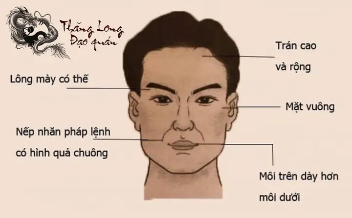 Hướng Dẫn Xem Tướng Số Khuôn Mặt Chi Tiết: Từ Lý Thuyết Nhân Tướng Học Đến Công Cụ Ai Online Miễn Phí
