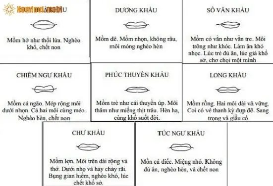 Xem Bói Tướng Miệng Đàn Ông: Ý Nghĩa Hình Dáng Môi Miệng Với Tính Cách Và Vận Mệnh Nam Giới Xem Bói Tướng Miệng Đàn Ông: Ý Nghĩa Hình Dáng Môi Miệng Với Tính Cách Và Vận Mệnh Nam Giới