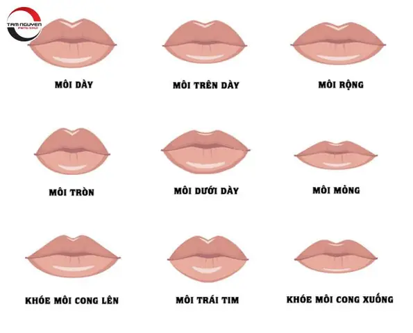 Xem Bói Tướng Số Phụ Nữ: Đoán Tính Cách Và Vận Mệnh Qua Nhân Tướng Học Khuôn Mặt Xem Bói Tướng Số Phụ Nữ: Đoán Tính Cách Và Vận Mệnh Qua Nhân Tướng Học Khuôn Mặt
