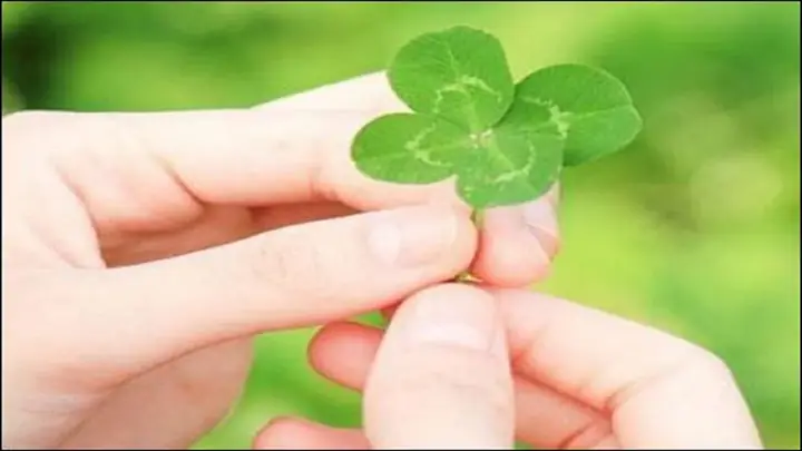 Xem Điềm Báo May Mắn: Các Dấu Hiệu Nhận Biết Vận May Theo Dân Gian