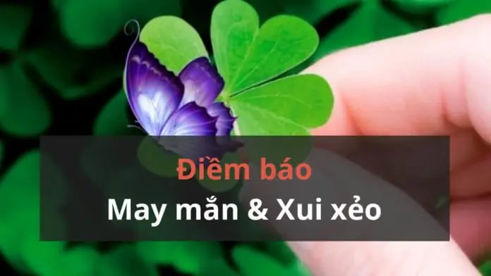 Xem Điềm Báo May Mắn: Các Dấu Hiệu Nhận Biết Vận May Theo Dân Gian