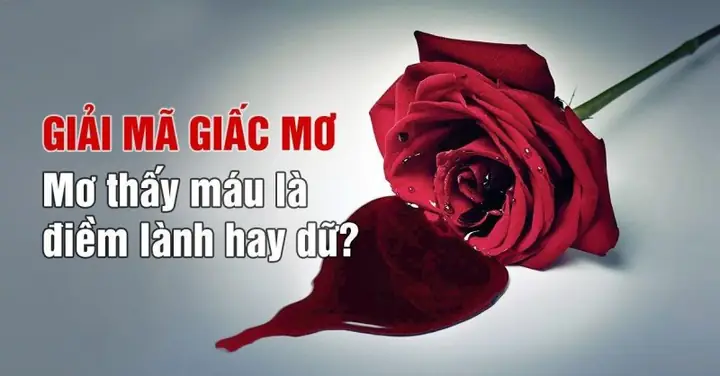Giải Mã Giấc Mơ Thấy Máu: Ý Nghĩa, Điềm Lành Hay Dữ Và Cách Ứng Phó Giải Mã Giấc Mơ Thấy Máu: Ý Nghĩa, Điềm Lành Hay Dữ Và Cách Ứng Phó