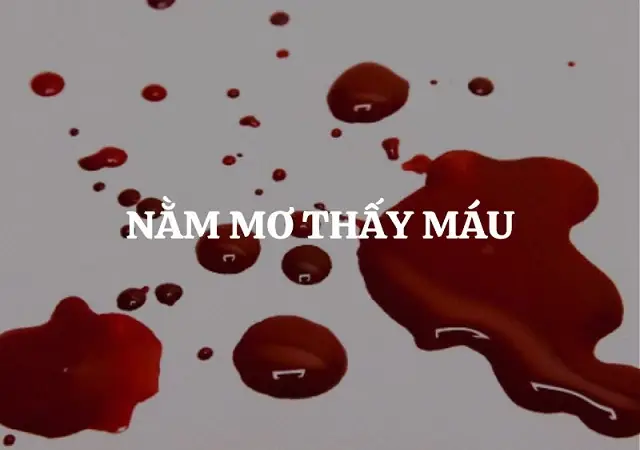 Giải Mã Giấc Mơ Thấy Máu: Ý Nghĩa, Điềm Lành Hay Dữ Và Cách Ứng Phó Giải Mã Giấc Mơ Thấy Máu: Ý Nghĩa, Điềm Lành Hay Dữ Và Cách Ứng Phó