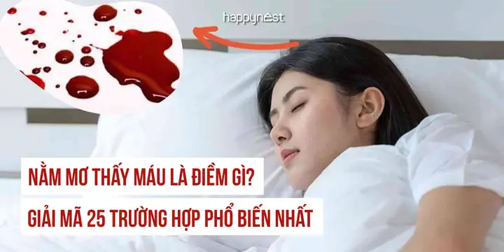 Giải Mã Giấc Mơ Thấy Máu: Ý Nghĩa, Điềm Lành Hay Dữ Và Cách Ứng Phó Giải Mã Giấc Mơ Thấy Máu: Ý Nghĩa, Điềm Lành Hay Dữ Và Cách Ứng Phó