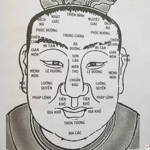 Xem Nhân Tướng Học Online Miễn Phí: Top Công Cụ Ai Phân Tích Khuôn Mặt Chính Xác, Nhanh Chóng Xem Nhân Tướng Học Online Miễn Phí: Top Công Cụ Ai Phân Tích Khuôn Mặt Chính Xác, Nhanh Chóng