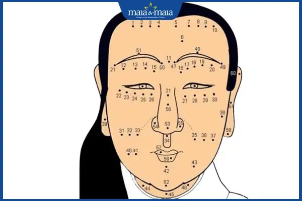 Giải Mã Ý Nghĩa Xem Nốt Ruồi Đoán Tướng Số Trên Cơ Thể Nam Và Nữ