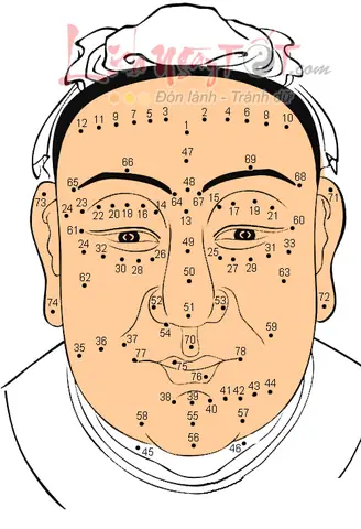Giải Mã Ý Nghĩa Xem Nốt Ruồi Đoán Tướng Số Trên Cơ Thể Nam Và Nữ