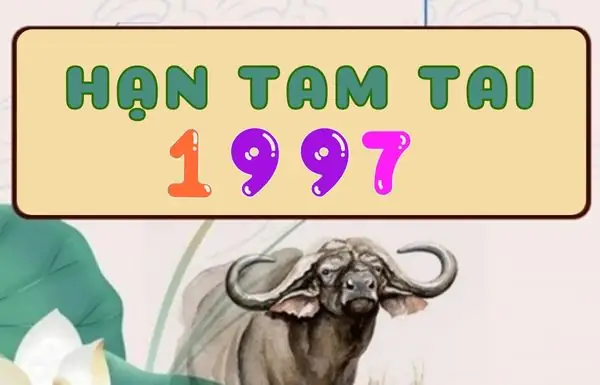 Tra Cứu Xem Tử Vi Khoa Học Tướng Số Trọn Đời Theo Ngày Tháng Năm Sinh