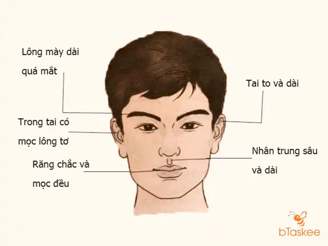 Hướng Dẫn Xem Tử Vi Tướng Mặt Chuẩn Xác: Toàn Tập 12 Cung, 5 Quan & Cách Nhận Diện Tướng Tốt Xấu Hướng Dẫn Xem Tử Vi Tướng Mặt Chuẩn Xác: Toàn Tập 12 Cung, 5 Quan & Cách Nhận Diện Tướng Tốt Xấu