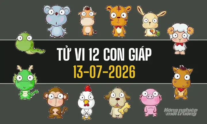 Xem Tử Vi Tướng Số 12 Con Giáp Hàng Ngày Và Năm 2026 Chi Tiết Cho Từng Tuổi Xem Tử Vi Tướng Số 12 Con Giáp Hàng Ngày Và Năm 2026 Chi Tiết Cho Từng Tuổi