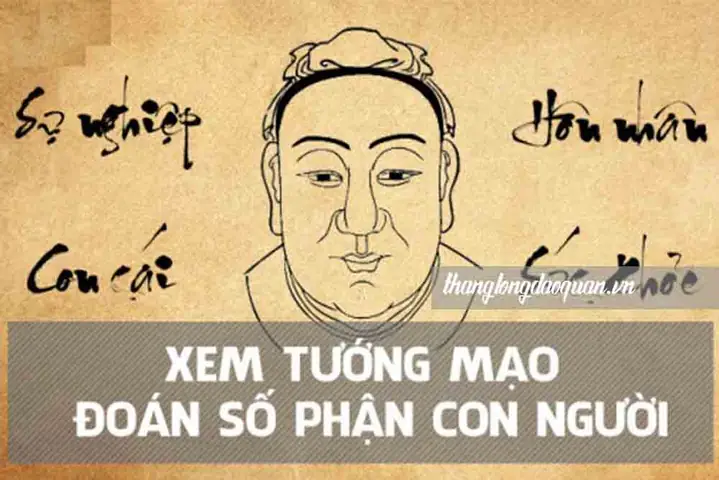 Xem Tử Vi Tướng Số Đúng Bao Nhiêu Phần: Mức Độ Chính Xác Thực Tế Của Lá Số