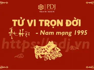 Xem Tử Vi Tướng Số Năm 2020 Cho Tuổi Canh Tý Và Các Tuổi Khác Theo Vận Hạn