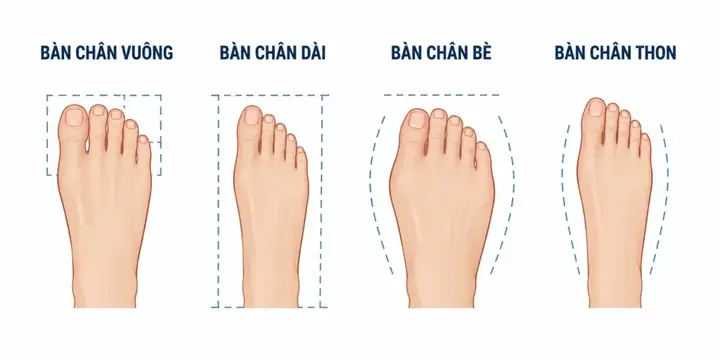 Xem Tướng Bàn Chân Nam Giới: Ý Nghĩa Giàu Sang Và Tính Cách Qua Hình Dáng Chân Xem Tướng Bàn Chân Nam Giới: Ý Nghĩa Giàu Sang Và Tính Cách Qua Hình Dáng Chân