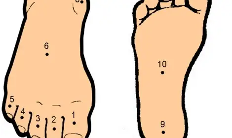 Xem Tướng Bàn Chân Nam Giới: Ý Nghĩa Giàu Sang Và Tính Cách Qua Hình Dáng Chân Xem Tướng Bàn Chân Nam Giới: Ý Nghĩa Giàu Sang Và Tính Cách Qua Hình Dáng Chân