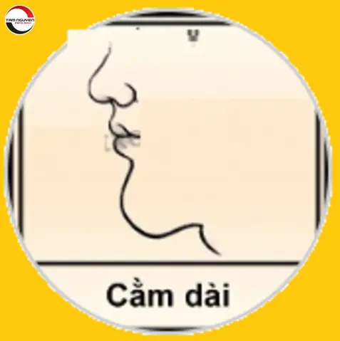 Xem Tướng Cằm Đàn Ông: Giải Mã Tính Cách Và Vận Mệnh Qua Các Dáng Cằm Xem Tướng Cằm Đàn Ông: Giải Mã Tính Cách Và Vận Mệnh Qua Các Dáng Cằm