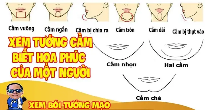 Xem Tướng Cằm Đàn Ông: Giải Mã Tính Cách Và Vận Mệnh Qua Các Dáng Cằm Xem Tướng Cằm Đàn Ông: Giải Mã Tính Cách Và Vận Mệnh Qua Các Dáng Cằm