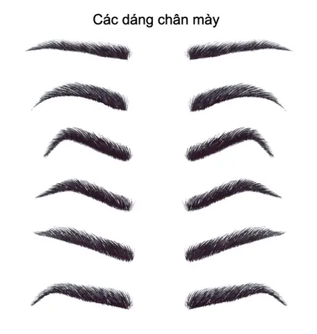 Xem Tướng Chân Mày Đoán Giàu Sang: Các Dáng Mày Phú Quý Cho Nam Và Nữ Xem Tướng Chân Mày Đoán Giàu Sang: Các Dáng Mày Phú Quý Cho Nam Và Nữ