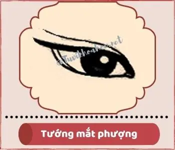 Xem Tướng Đàn Ông Có Bọng Mắt: Ý Nghĩa Nhân Tướng Học Về Tính Cách Và Đời Sống Tình Cảm