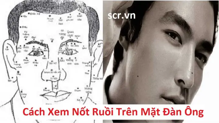 Xem Tướng Đàn Ông Mặt Rỗ: Ý Nghĩa Vận Mệnh Theo Nhân Tướng Học Xem Tướng Đàn Ông Mặt Rỗ: Ý Nghĩa Vận Mệnh Theo Nhân Tướng Học