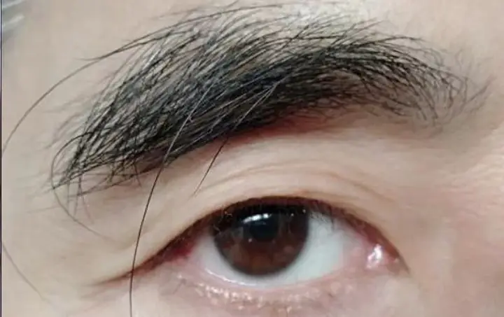 Giải Nghĩa Lông Mày Dài Hơn Mắt Trong Nhân Tướng Học: Tốt Hay Xấu Và Ý Nghĩa Vận Mệnh Giải Nghĩa Lông Mày Dài Hơn Mắt Trong Nhân Tướng Học: Tốt Hay Xấu Và Ý Nghĩa Vận Mệnh