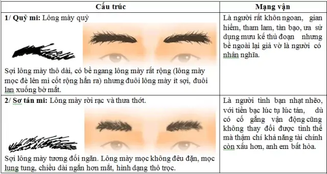 Giải Nghĩa Lông Mày Dài Hơn Mắt Trong Nhân Tướng Học: Tốt Hay Xấu Và Ý Nghĩa Vận Mệnh Giải Nghĩa Lông Mày Dài Hơn Mắt Trong Nhân Tướng Học: Tốt Hay Xấu Và Ý Nghĩa Vận Mệnh