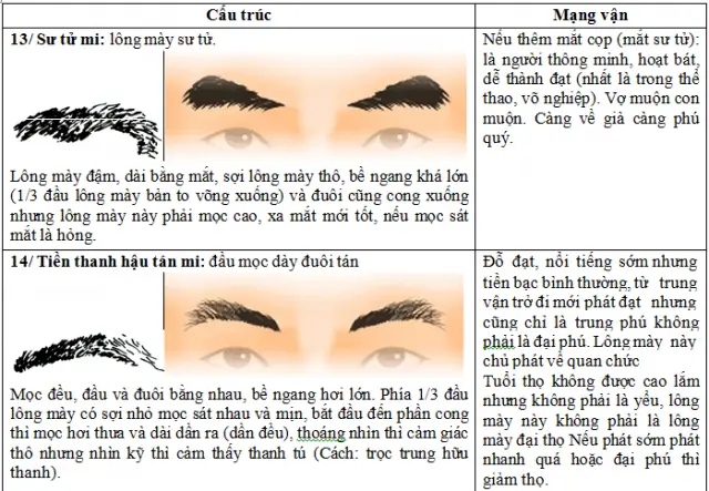Xem Tướng Lông Mày Đàn Ông: Ý Nghĩa Vận Mệnh Và Các Tướng Mày Phổ Biến