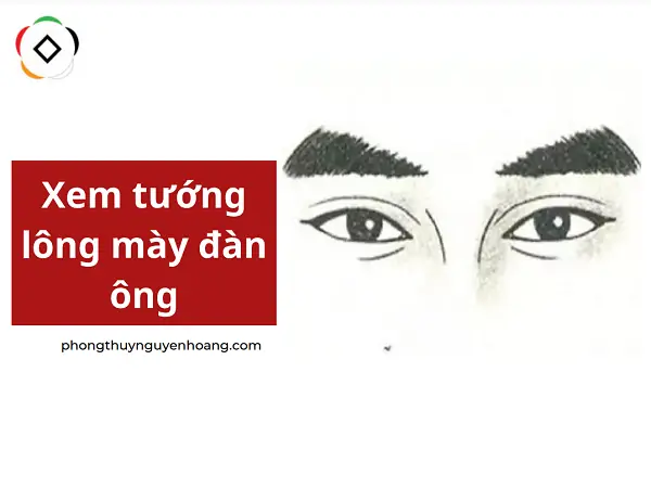 Xem Tướng Lông Mày Đàn Ông: Ý Nghĩa Vận Mệnh Và Các Tướng Mày Phổ Biến
