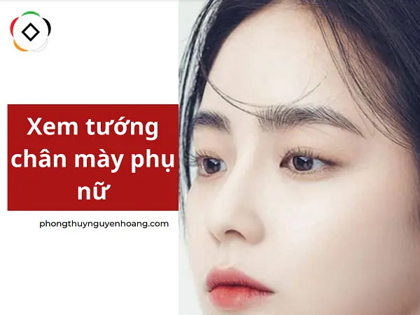 Xem Tướng Lông Mày Đẹp: Các Kiểu Mày Phú Quý Cho Đàn Ông Và Phụ Nữ Xem Tướng Lông Mày Đẹp: Các Kiểu Mày Phú Quý Cho Đàn Ông Và Phụ Nữ