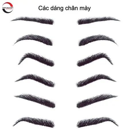 Xem Tướng Lông Mày Nam: Ý Nghĩa Phong Thủy Và Vận Mệnh Đàn Ông Xem Tướng Lông Mày Nam: Ý Nghĩa Phong Thủy Và Vận Mệnh Đàn Ông