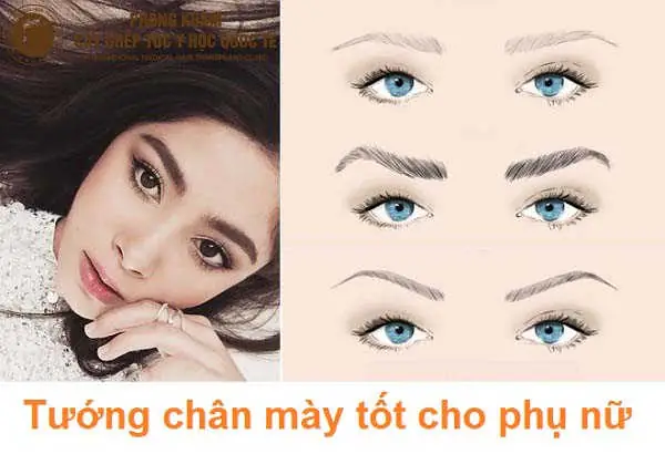 Giải Mã Tướng Lông Mày Nữ Giới: Ý Nghĩa Vận Mệnh, Tình Duyên Và Sự Nghiệp Giải Mã Tướng Lông Mày Nữ Giới: Ý Nghĩa Vận Mệnh, Tình Duyên Và Sự Nghiệp