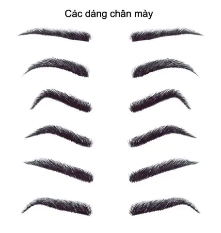 Giải Mã Tướng Lông Mày Nữ Giới: Ý Nghĩa Vận Mệnh, Tình Duyên Và Sự Nghiệp Giải Mã Tướng Lông Mày Nữ Giới: Ý Nghĩa Vận Mệnh, Tình Duyên Và Sự Nghiệp