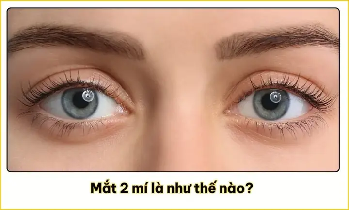 Xem Tướng Mắt 2 Mí: Ý Nghĩa Nhân Tướng Học Và Đặc Điểm Đôi Mắt Hai Mí Xem Tướng Mắt 2 Mí: Ý Nghĩa Nhân Tướng Học Và Đặc Điểm Đôi Mắt Hai Mí