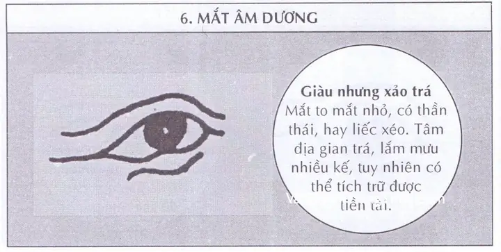 Khám Phá Tướng Mắt Âm Dương Là Gì Và Ý Nghĩa Đặc Biệt Trong Nhân Tướng Học Khám Phá Tướng Mắt Âm Dương Là Gì Và Ý Nghĩa Đặc Biệt Trong Nhân Tướng Học