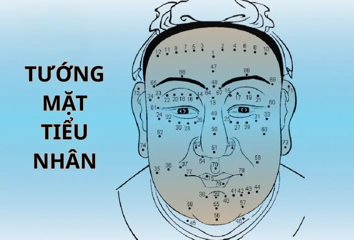Nhận Diện Tướng Mặt Đàn Ông Tiểu Nhân Qua Nhân Tướng Học Để Tránh Xa Rủi Ro