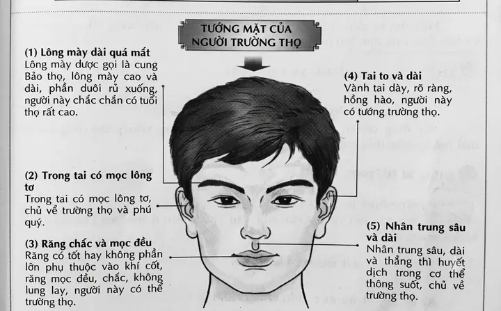 Cách Xem Tướng Mặt Đàn Ông Tốt Để Nhận Diện Tính Cách Và Vận Mệnh Phú Quý