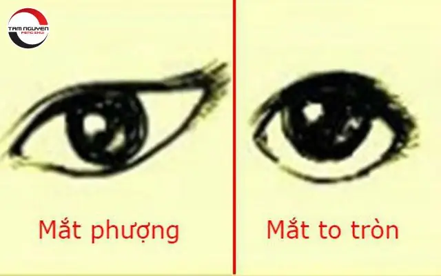 Xem Tướng Mắt Người Phụ Nữ: Đoán Tính Cách, Vận Mệnh Và Đường Tình Duyên Theo Nhân Tướng Học Xem Tướng Mắt Người Phụ Nữ: Đoán Tính Cách, Vận Mệnh Và Đường Tình Duyên Theo Nhân Tướng Học