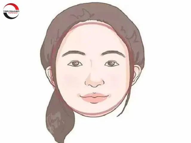 Xem Tướng Mặt Nữ Tròn: Ý Nghĩa Phúc Hậu Và Tính Cách Qua Nhân Tướng Học Xem Tướng Mặt Nữ Tròn: Ý Nghĩa Phúc Hậu Và Tính Cách Qua Nhân Tướng Học