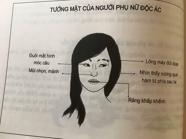 Nhận Diện Tướng Mặt Phụ Nữ Đa Tình Qua Các Đặc Điểm Nhận Biết Phổ Biến