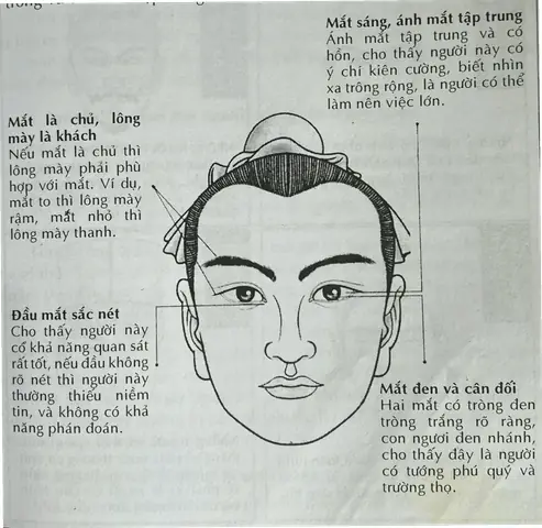 Hướng Dẫn Xem Tướng Mặt Qua Ảnh Bằng Ai Cho Người Muốn Khám Phá Vận Mệnh Từ Ảnh Chụp Hướng Dẫn Xem Tướng Mặt Qua Ảnh Bằng Ai Cho Người Muốn Khám Phá Vận Mệnh Từ Ảnh Chụp