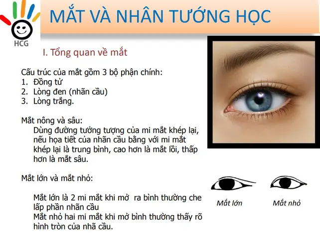 Giải Mã Ý Nghĩa Xem Tướng Mắt Sáng Trong Nhân Tướng Học Giải Mã Ý Nghĩa Xem Tướng Mắt Sáng Trong Nhân Tướng Học