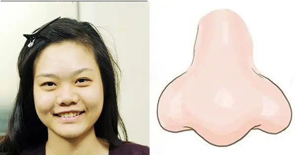 Giải Mã Xem Tướng Mũi Đàn Bà: Ý Nghĩa Vận Mệnh Và Tính Cách Qua Dáng Mũi Giải Mã Xem Tướng Mũi Đàn Bà: Ý Nghĩa Vận Mệnh Và Tính Cách Qua Dáng Mũi