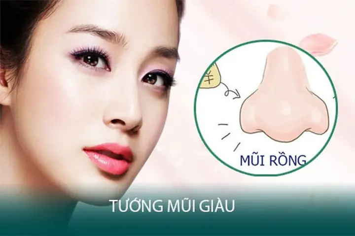 Xem Tướng Mũi Giàu Có: Các Dáng Mũi Phú Quý Theo Nhân Tướng Học Xem Tướng Mũi Giàu Có: Các Dáng Mũi Phú Quý Theo Nhân Tướng Học