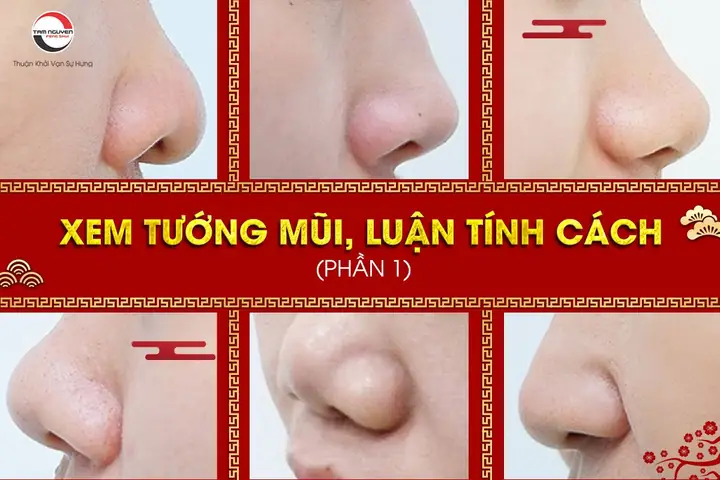 Xem Tướng Mũi Nữ: Giải Mã Vận Mệnh, Tính Cách Và Phúc Lộc Qua Dáng Mũi Xem Tướng Mũi Nữ: Giải Mã Vận Mệnh, Tính Cách Và Phúc Lộc Qua Dáng Mũi