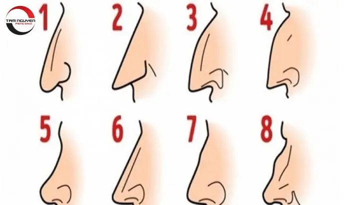 Giải Mã Tướng Mũi Phụ Nữ: Ý Nghĩa Vận Mệnh, Tính Cách Và Tài Lộc Theo Nhân Tướng Học Giải Mã Tướng Mũi Phụ Nữ: Ý Nghĩa Vận Mệnh, Tính Cách Và Tài Lộc Theo Nhân Tướng Học