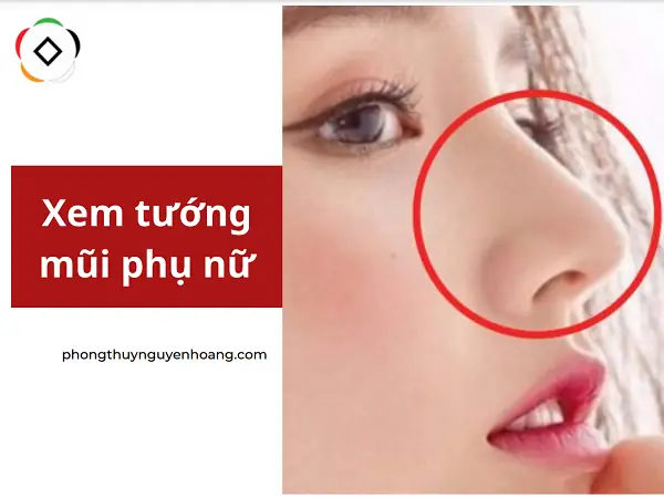 Giải Mã Tướng Mũi Phụ Nữ: Ý Nghĩa Vận Mệnh, Tính Cách Và Tài Lộc Theo Nhân Tướng Học Giải Mã Tướng Mũi Phụ Nữ: Ý Nghĩa Vận Mệnh, Tính Cách Và Tài Lộc Theo Nhân Tướng Học