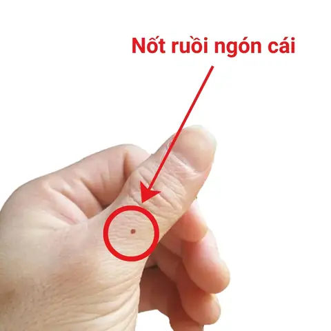 Xem Tướng Ngón Tay Cái Công: Ý Nghĩa Đời, Vận Và Tính Cách Qua Hình Dáng Ngón Cái Xem Tướng Ngón Tay Cái Công: Ý Nghĩa Đời, Vận Và Tính Cách Qua Hình Dáng Ngón Cái