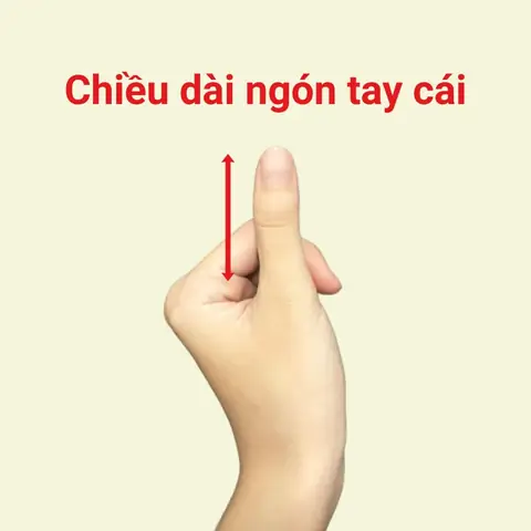 Xem Tướng Ngón Tay Cái Công: Ý Nghĩa Đời, Vận Và Tính Cách Qua Hình Dáng Ngón Cái Xem Tướng Ngón Tay Cái Công: Ý Nghĩa Đời, Vận Và Tính Cách Qua Hình Dáng Ngón Cái
