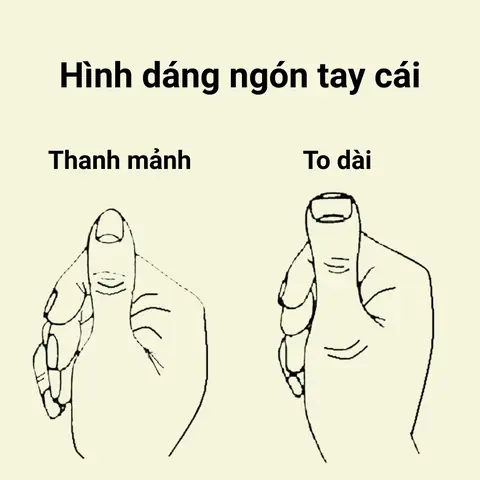 Xem Tướng Ngón Tay Cái Công: Ý Nghĩa Đời, Vận Và Tính Cách Qua Hình Dáng Ngón Cái Xem Tướng Ngón Tay Cái Công: Ý Nghĩa Đời, Vận Và Tính Cách Qua Hình Dáng Ngón Cái
